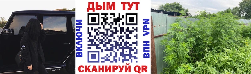 Шишки марихуана конопля Голицыно